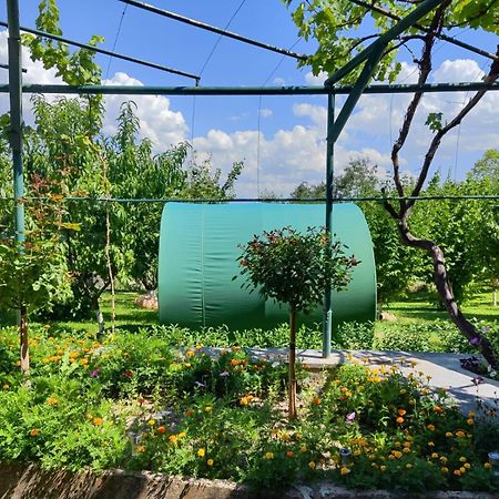 Nataly Campsite Yeghegnadzor Zewnętrze zdjęcie
