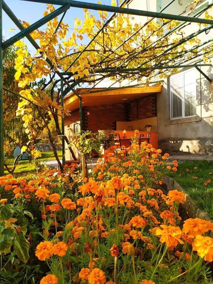 Nataly Campsite Yeghegnadzor Zewnętrze zdjęcie