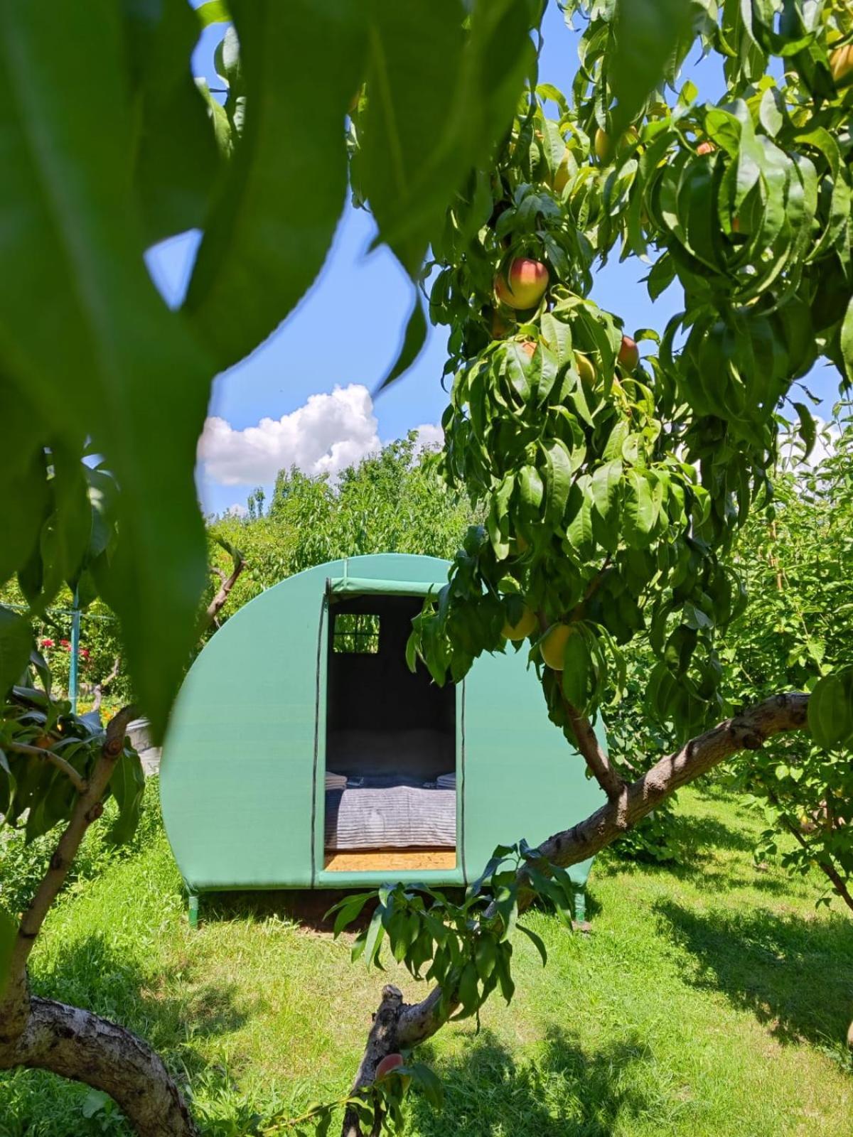 Nataly Campsite Yeghegnadzor Zewnętrze zdjęcie