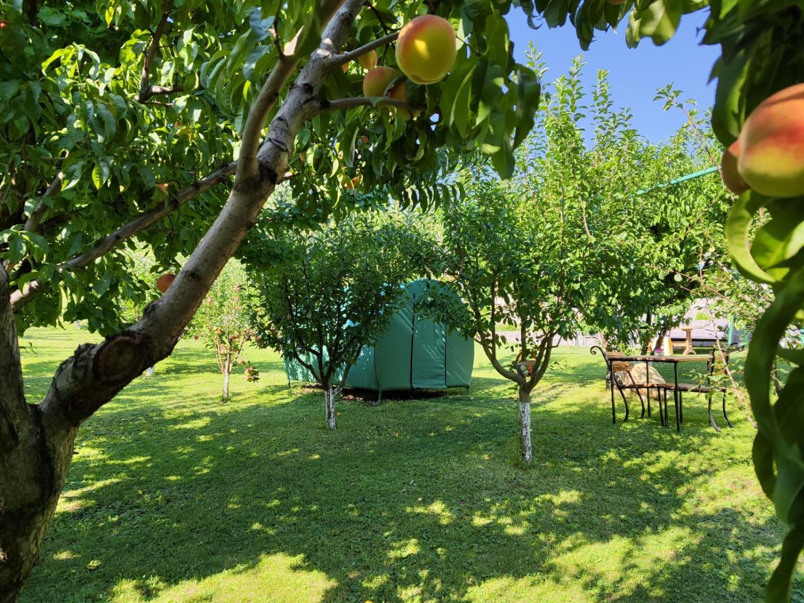Nataly Campsite Yeghegnadzor Zewnętrze zdjęcie